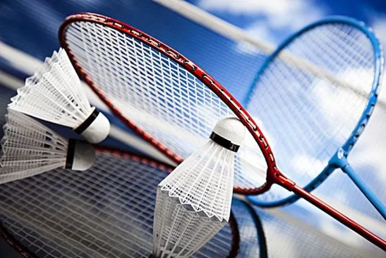 Hướng Dẫn Cá Cược Cầu Lông Tại DAGA Cho Người Mới Bắt Đầu 1 Hướng Dẫn Cá Cược Cầu Lông Tại DAGA Cho Người Mới Bắt Đầu