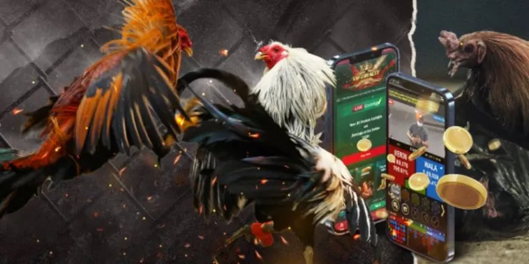 Giải Mã Sức Hút Và Cách Chơi Đá Gà GA28 Tại DAGA Hiệu Quả 2 Giải Mã Sức Hút Và Cách Chơi Đá Gà GA28 Tại DAGA Hiệu Quả