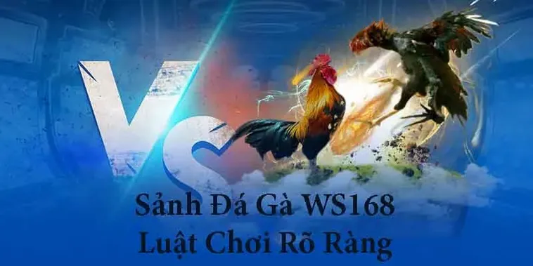 Hướng Dẫn Chi Tiết Cách Chơi Đá Gà WS168 Tại DAGA Cho Người Mới 1 Hướng Dẫn Chi Tiết Cách Chơi Đá Gà WS168 Tại DAGA Cho Người Mới