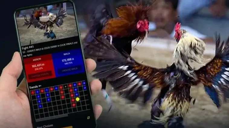 Khám Phá Sức Hút Của Đá Gà DAGA Trong Kỷ Nguyên Số Hiện Đại