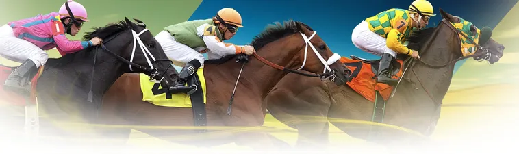 Khám Phá Toàn Cảnh Cá Cược Đua Ngựa DAGA Chuyên Nghiệp 1 Khám Phá Toàn Cảnh Cá Cược Đua Ngựa DAGA Chuyên Nghiệp